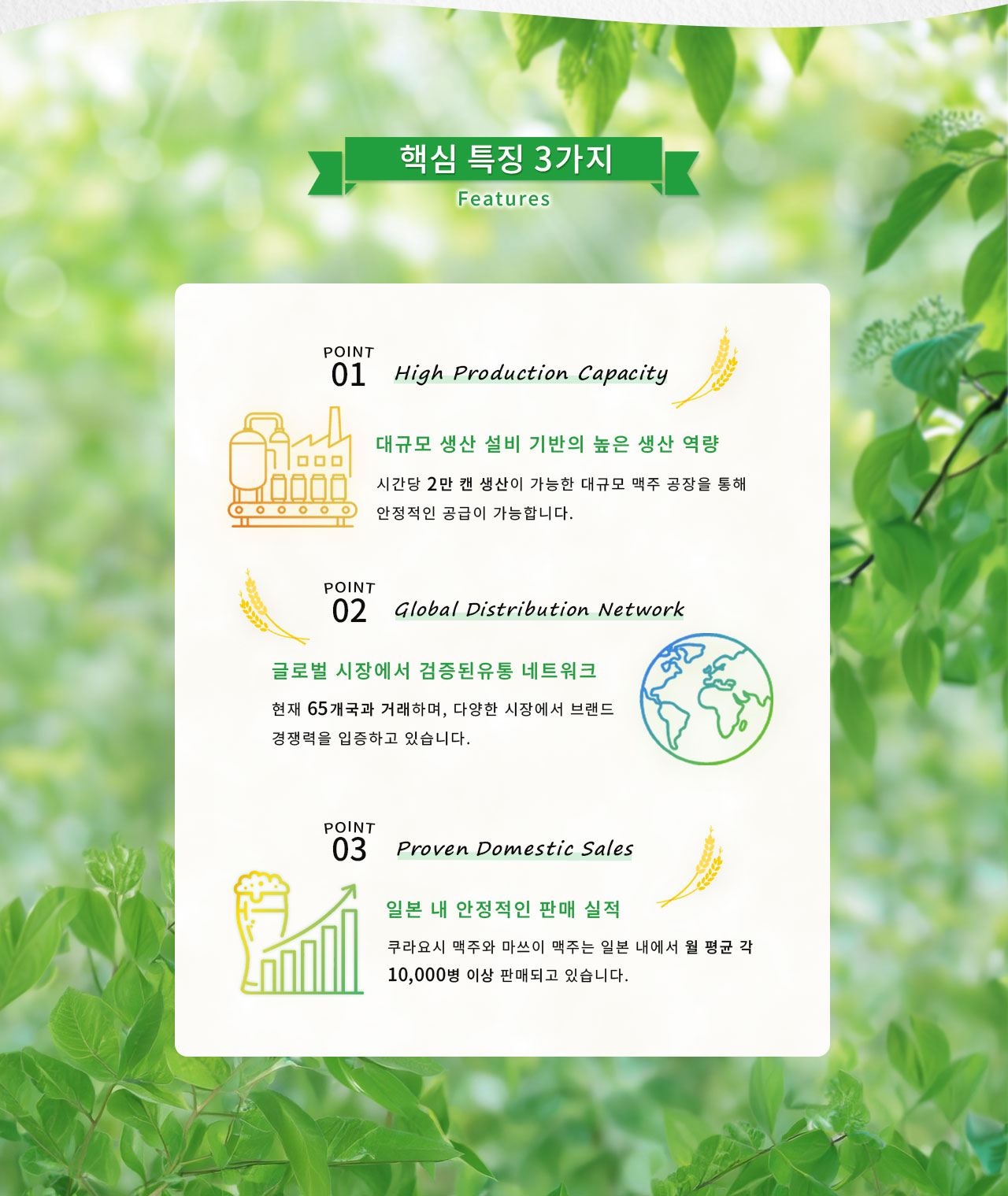 마쓰이 맥주의 핵심 특징 3가지